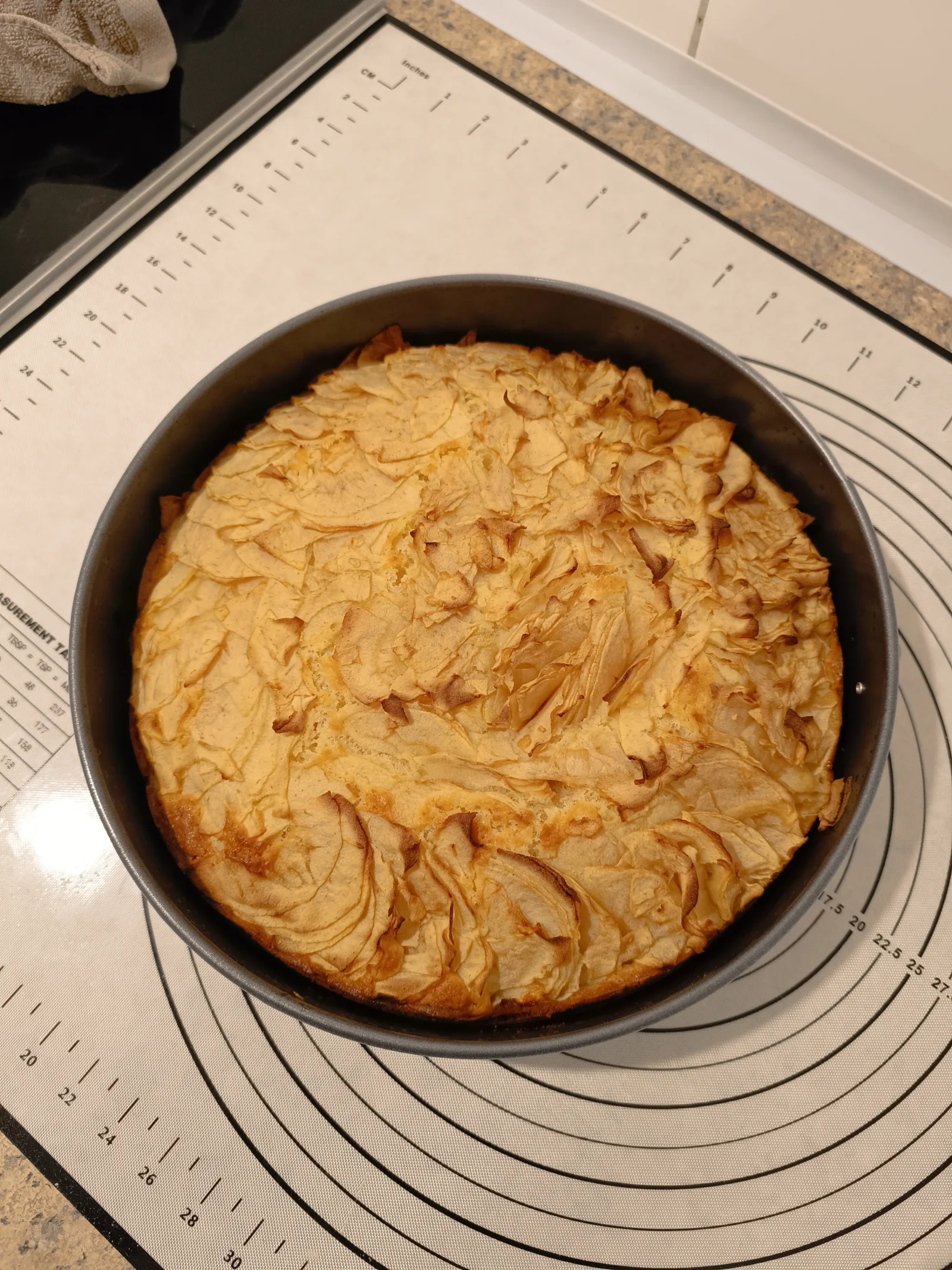 Apfel-Joghurt-Kuchen mit fächerförmig aufgelegten Apfelscheiben